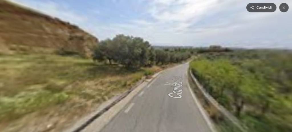 immagine annuncio 10 di 14