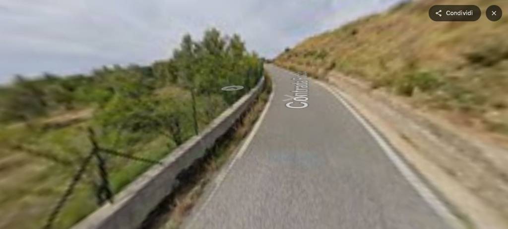 immagine annuncio 12 di 14