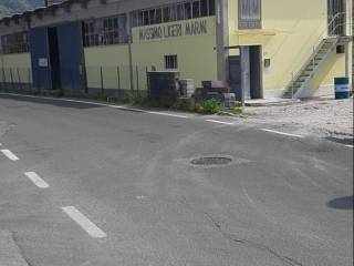 Capannone in in affitto da privato a luni via sette quartieri, 14