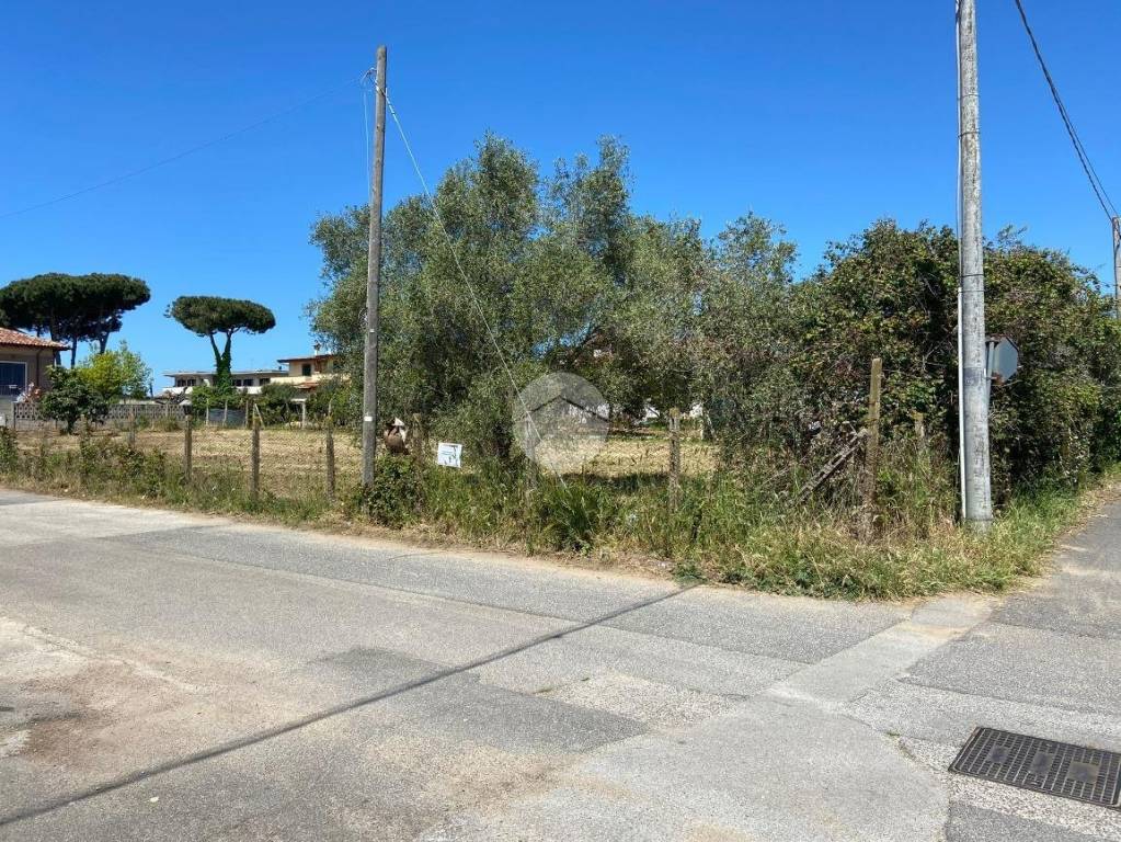 immagine annuncio 8 di 13