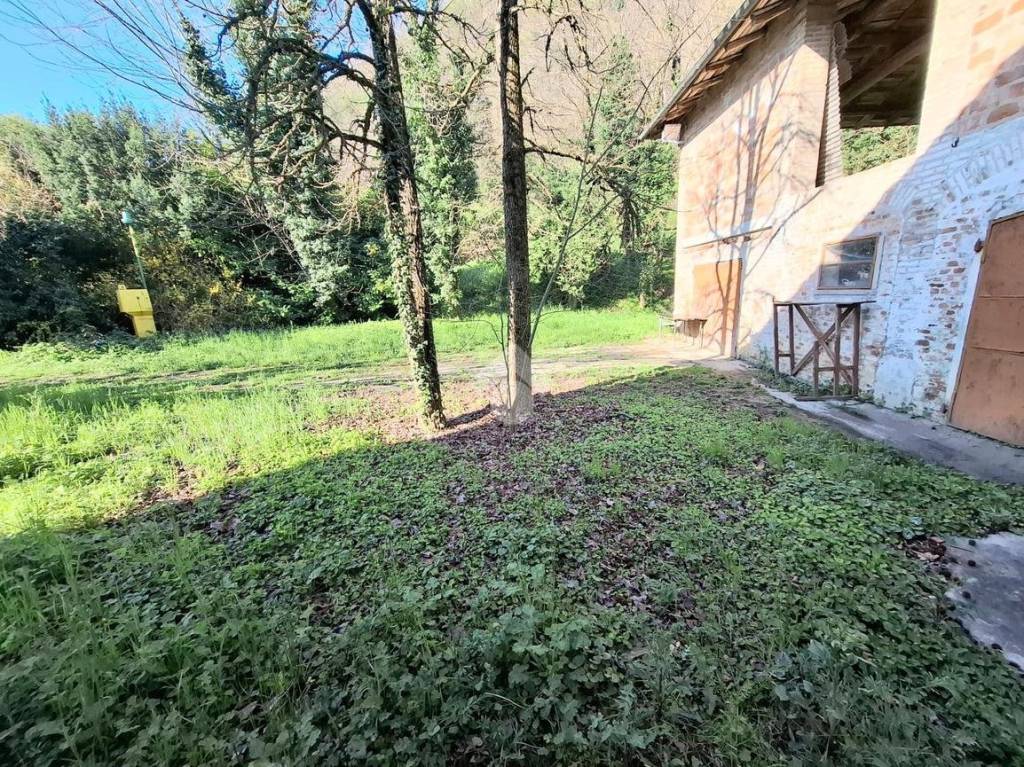 immagine annuncio 12 di 13