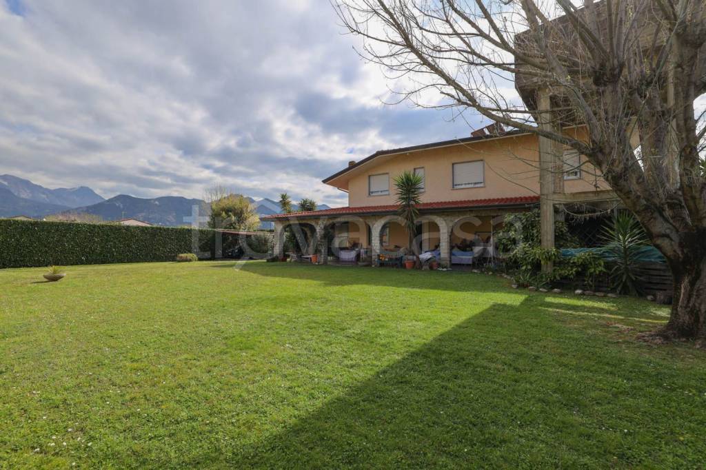 immagine annuncio 2 di 12