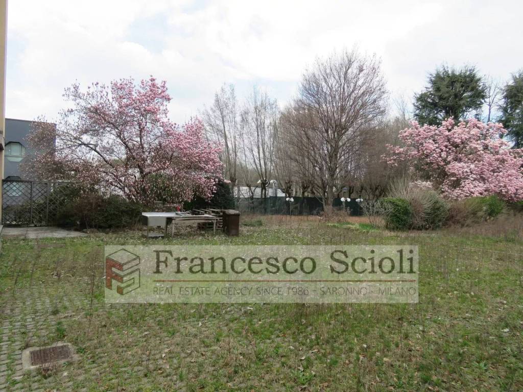 immagine annuncio 7 di 11
