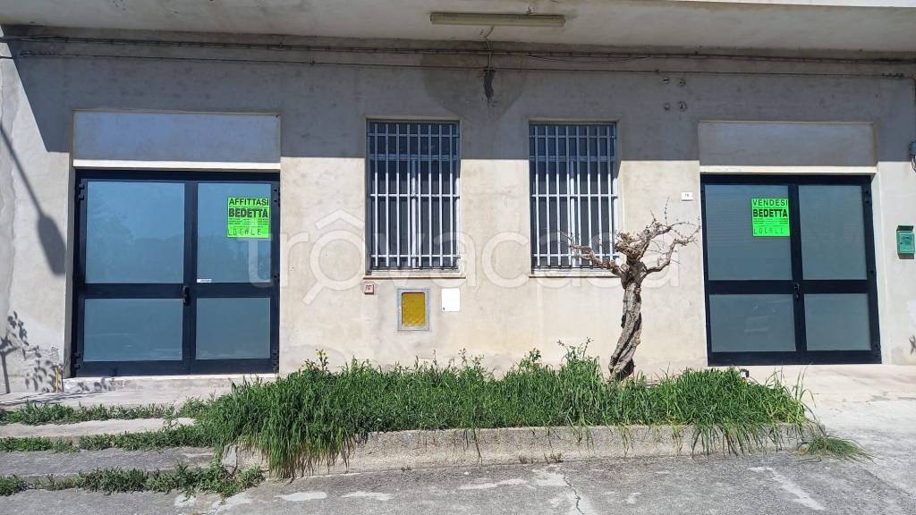 immagine annuncio 1 di 3