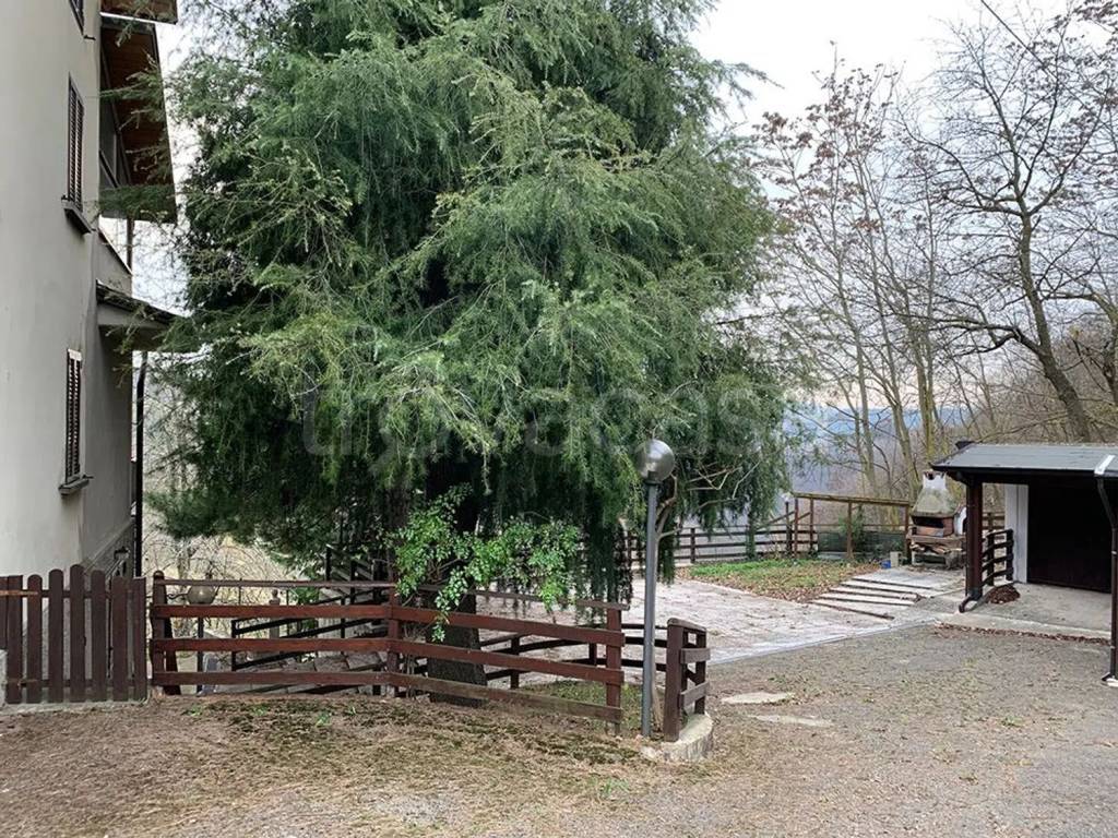 immagine annuncio 2 di 12