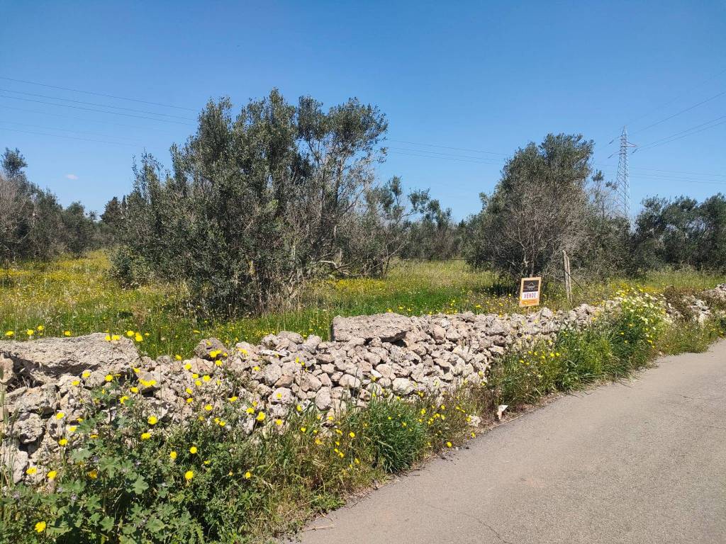 immagine annuncio 8 di 15