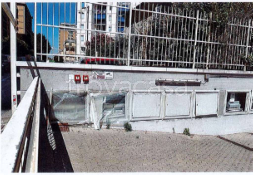 immagine annuncio 5 di 12