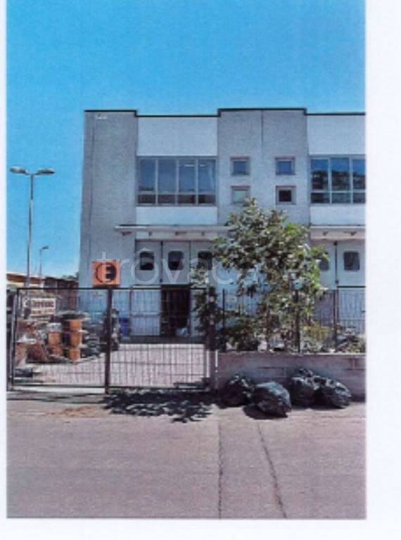 immagine annuncio 6 di 12