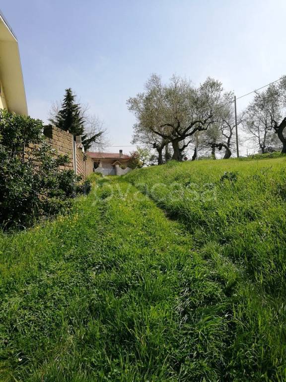 immagine annuncio 6 di 14