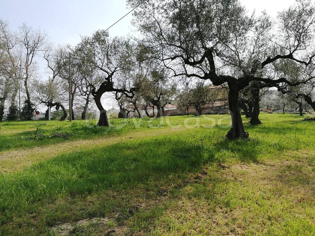 immagine annuncio 11 di 14