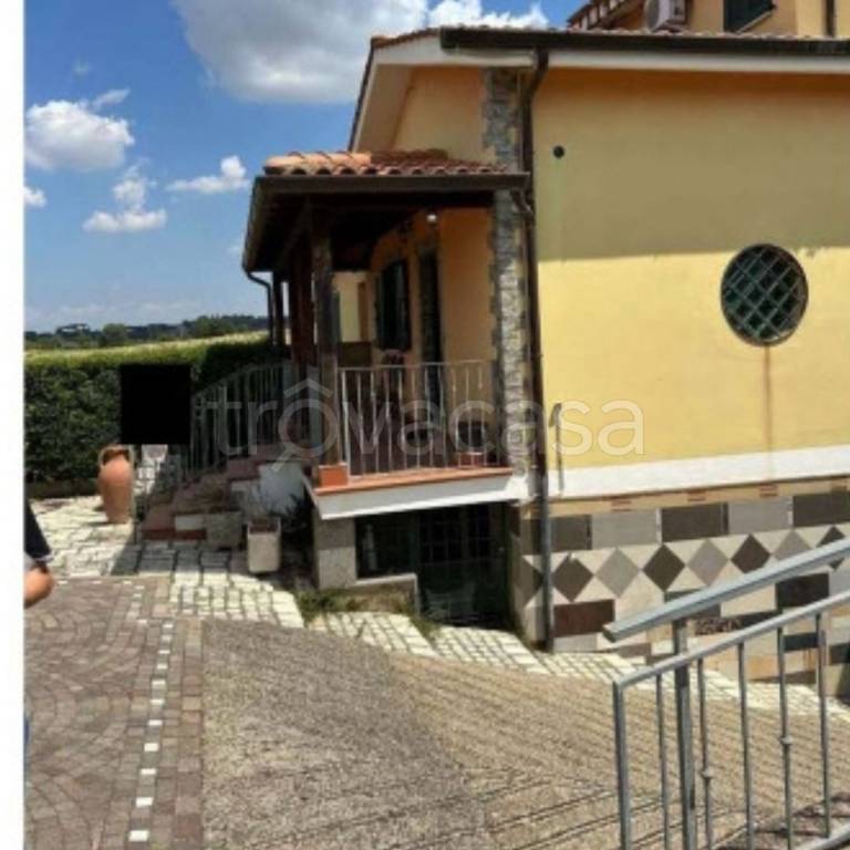 immagine annuncio 3 di 14