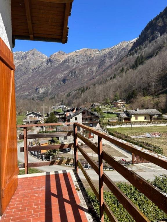 immagine annuncio 3 di 11