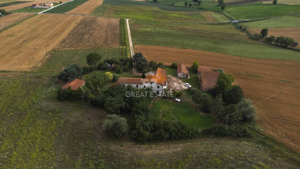 immagine annuncio 9 di 12