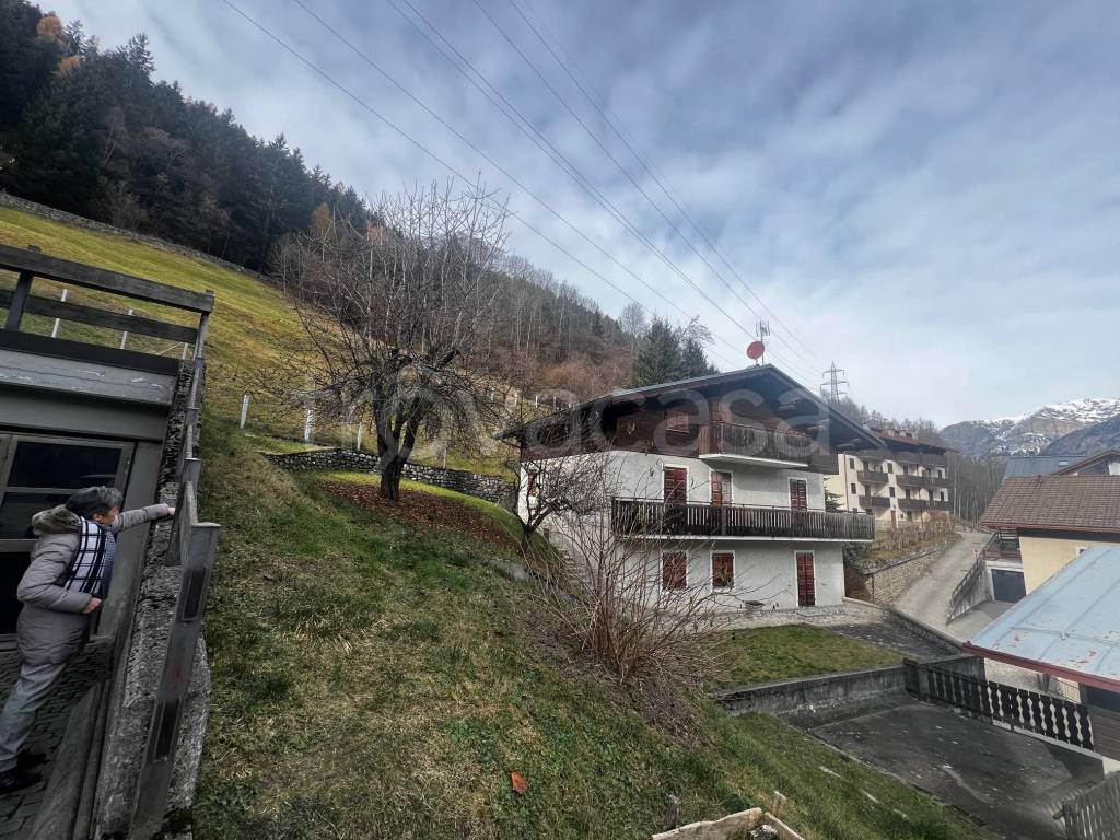 immagine annuncio 2 di 14