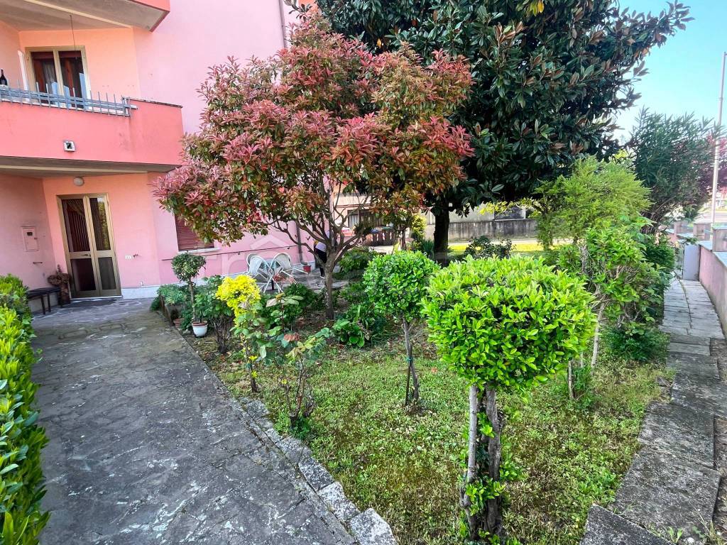 immagine annuncio 7 di 15