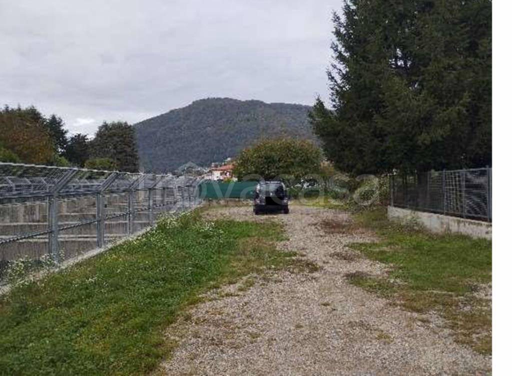 immagine annuncio 2 di 13
