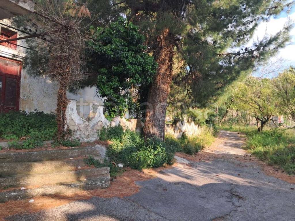 immagine annuncio 11 di 14