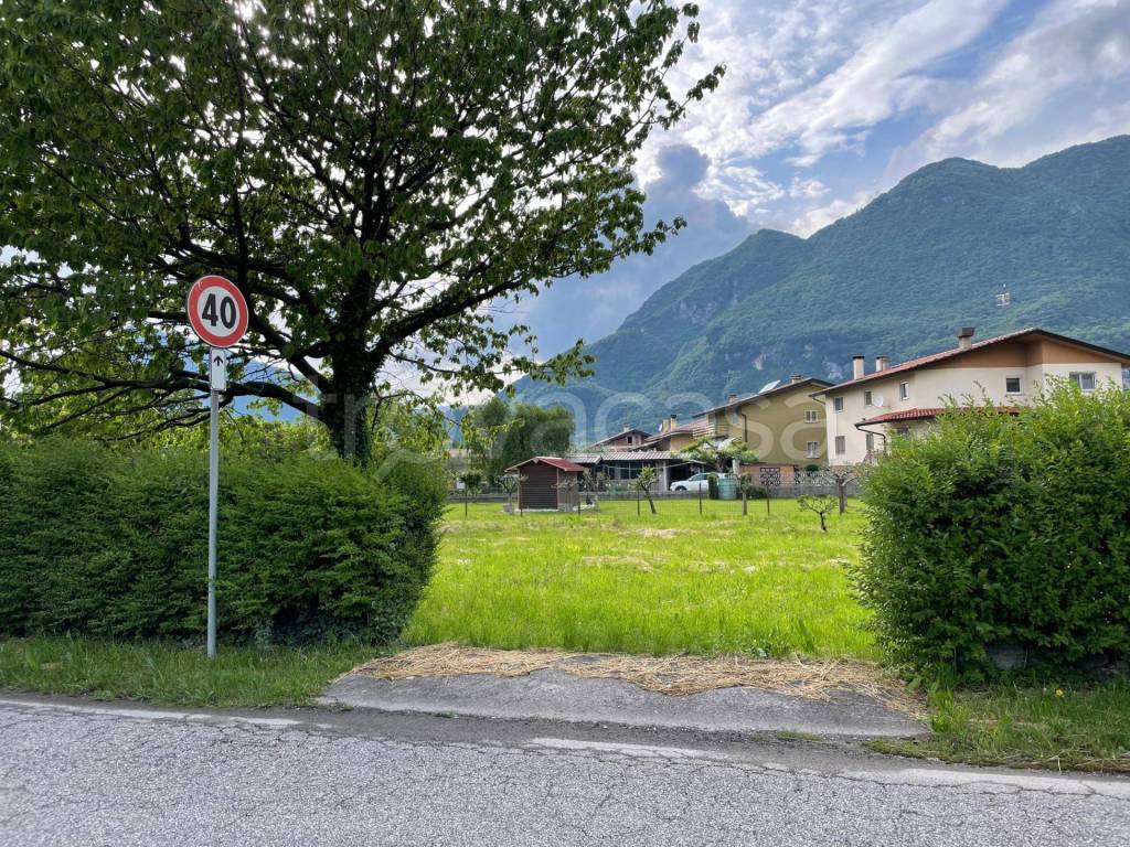 immagine annuncio 1 di 2