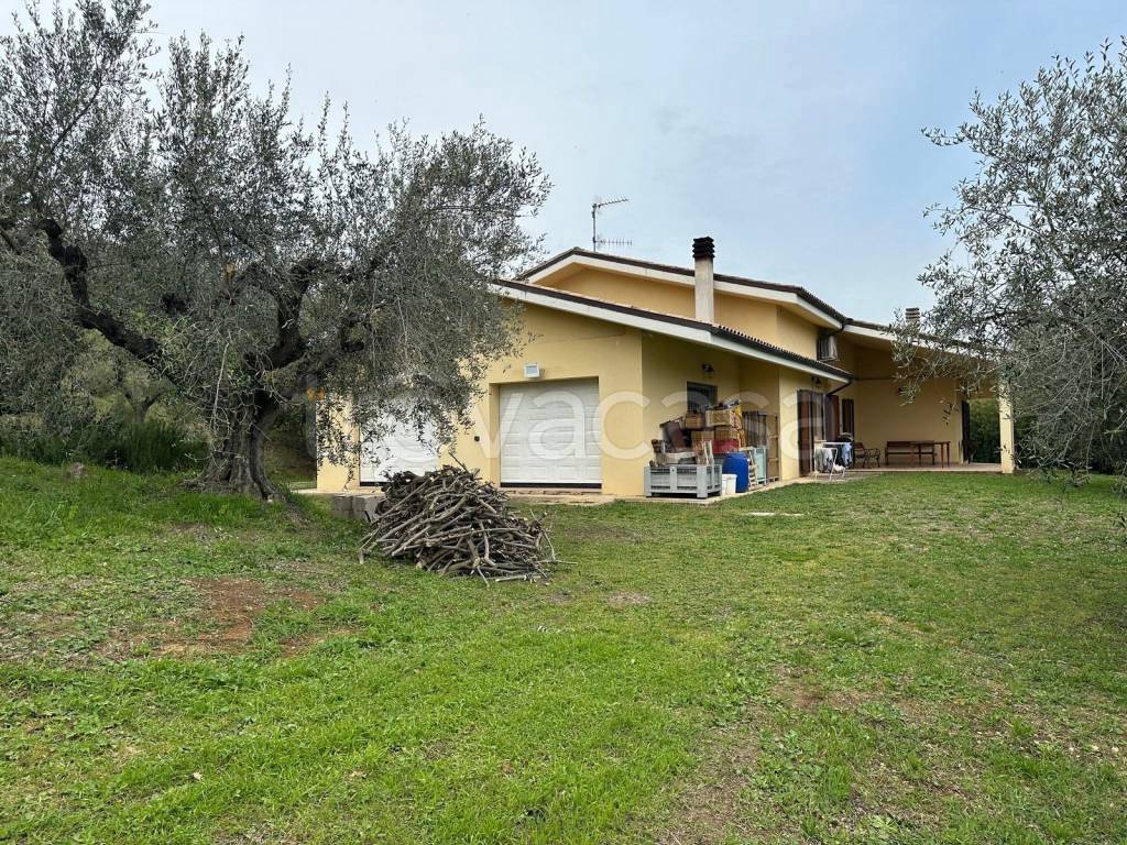 immagine annuncio 13 di 15