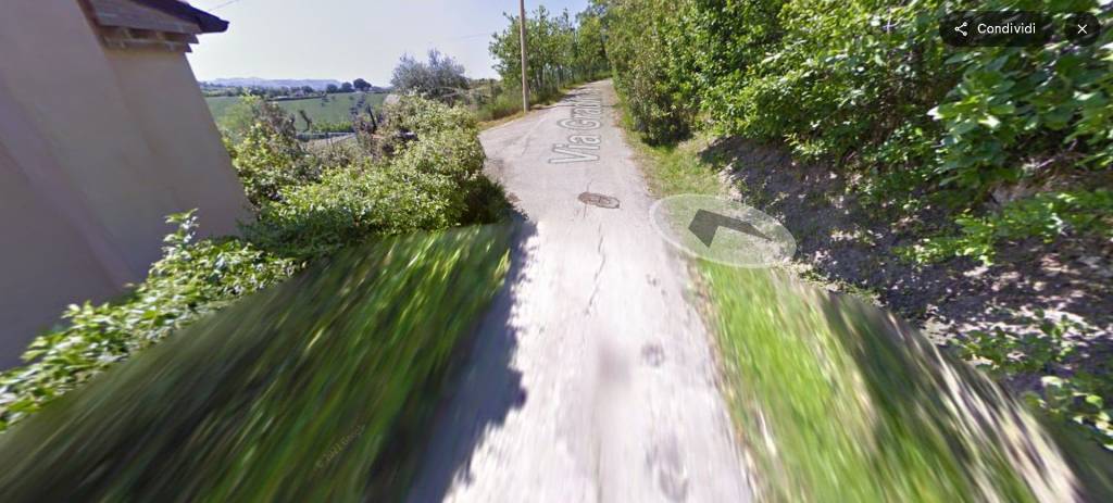 immagine annuncio 12 di 14