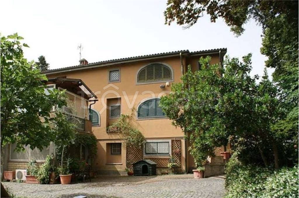 immagine annuncio 5 di 11
