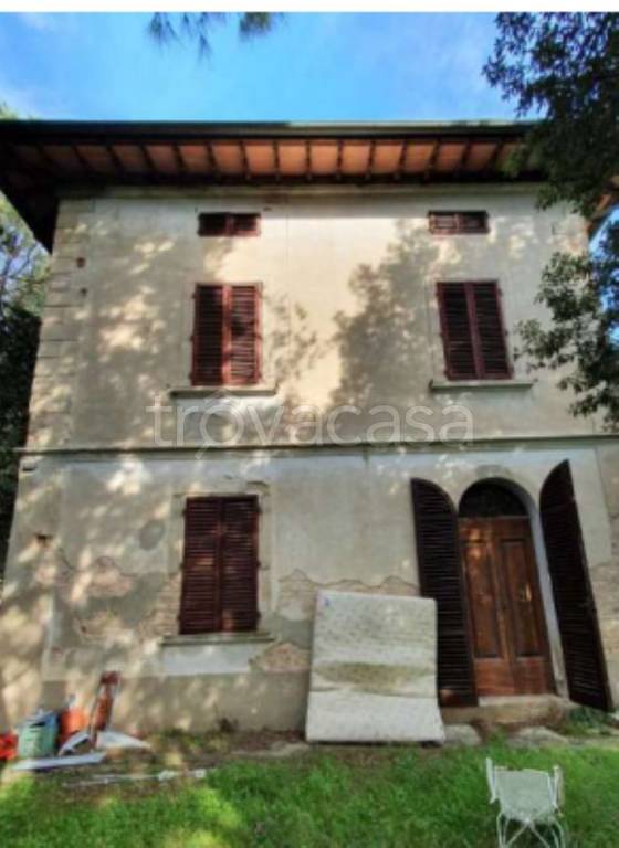 immagine annuncio 2 di 12