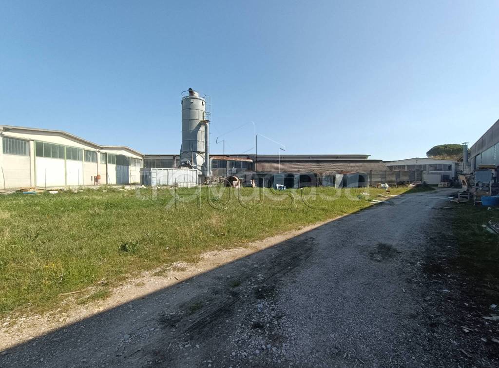 immagine annuncio 11 di 14