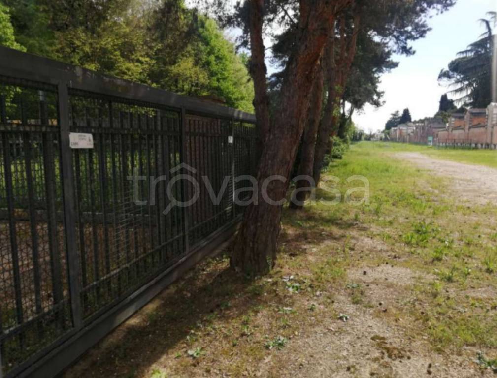 immagine annuncio 7 di 14