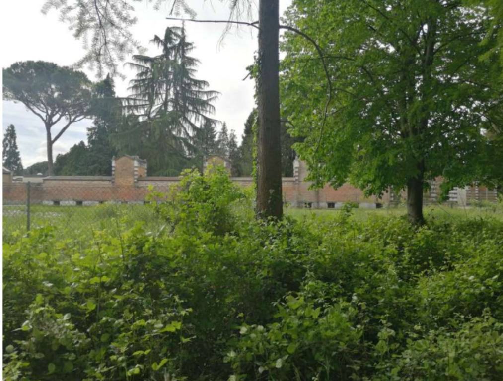 immagine annuncio 8 di 14