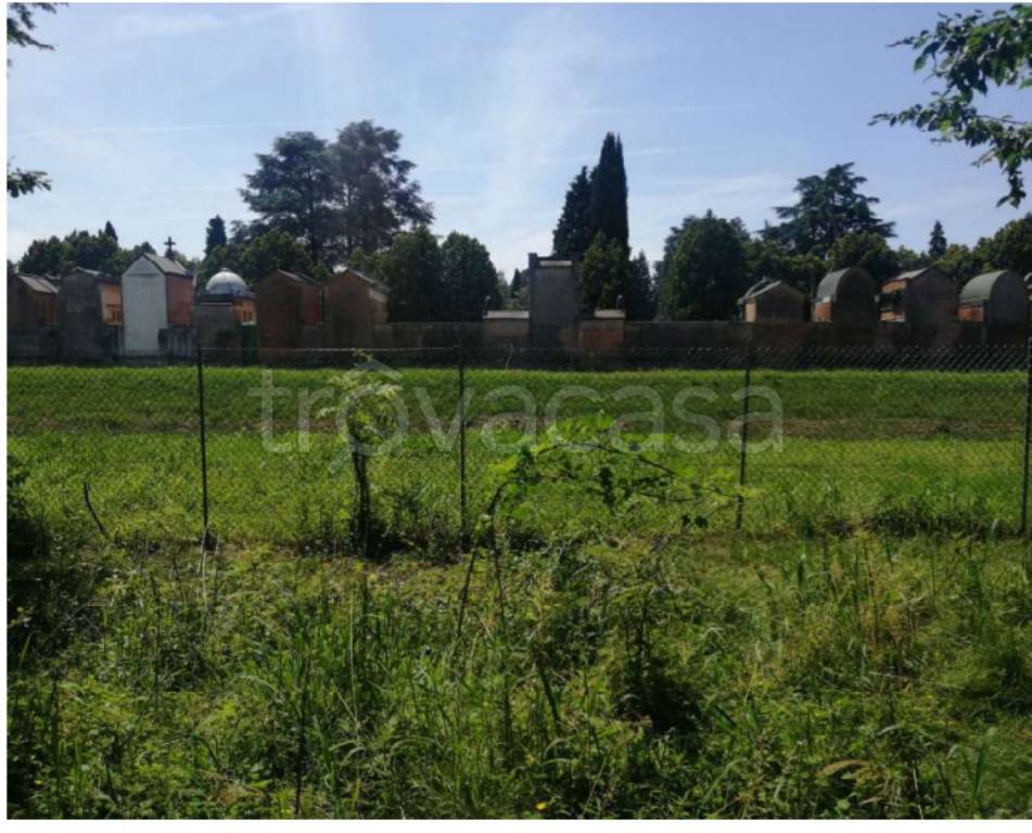 immagine annuncio 11 di 14