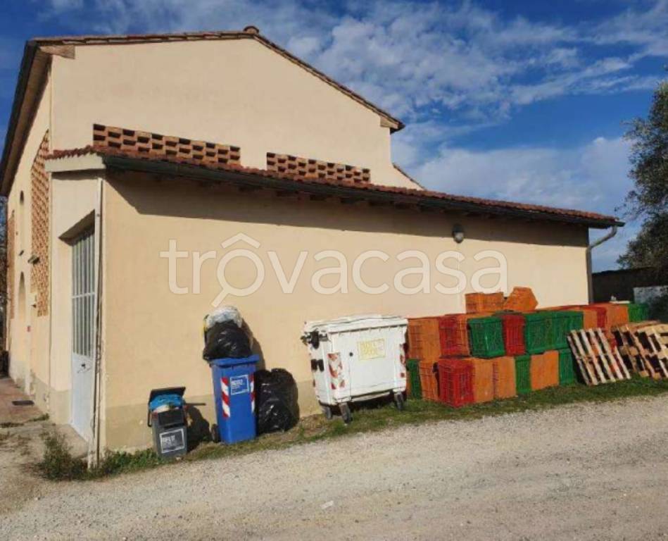 immagine annuncio 4 di 11