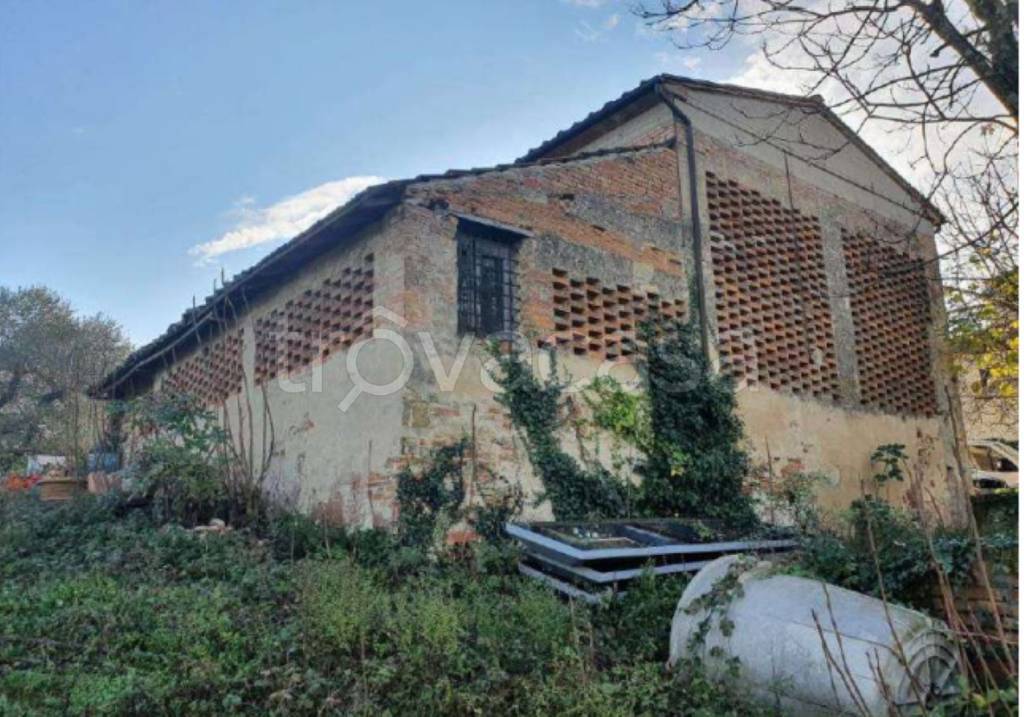 immagine annuncio 2 di 12
