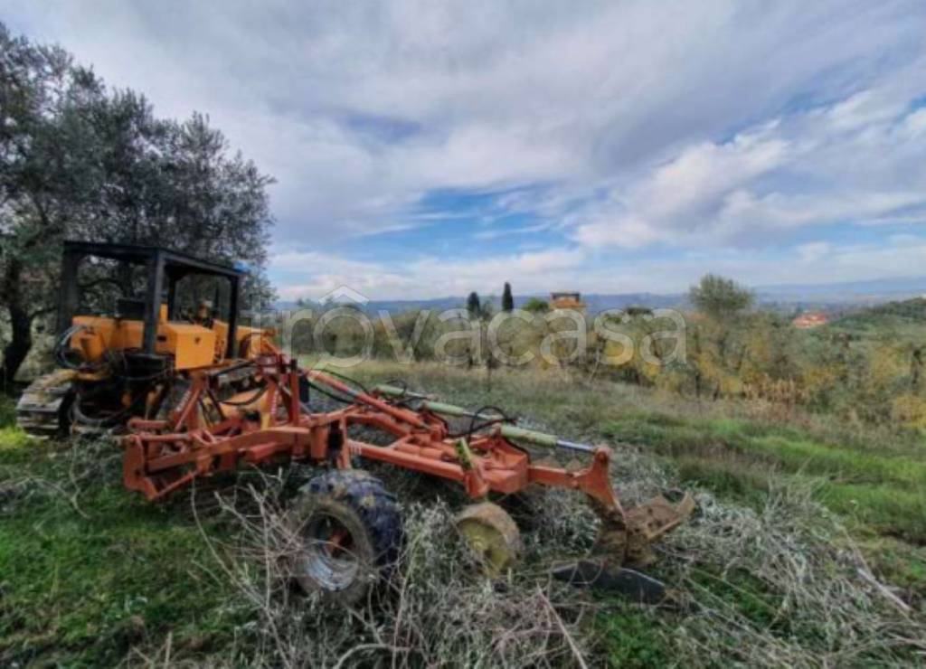 immagine annuncio 5 di 11