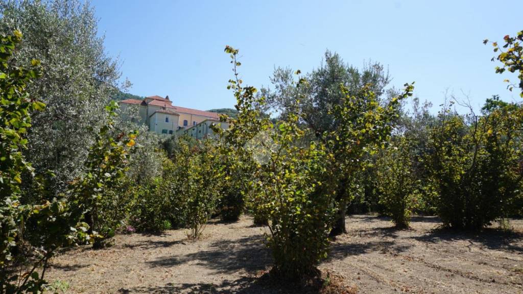 immagine annuncio 7 di 14