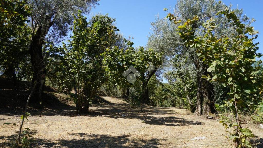 immagine annuncio 8 di 14