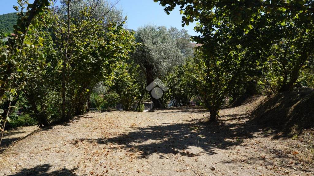 immagine annuncio 9 di 14