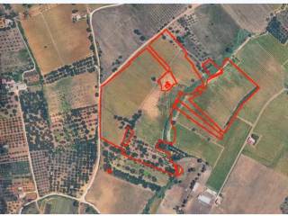 Terreno agricolo all'asta a partinico ss 113 km 317.900, 90047 contrada bosco falconeria, 90047 partinico pa, italia