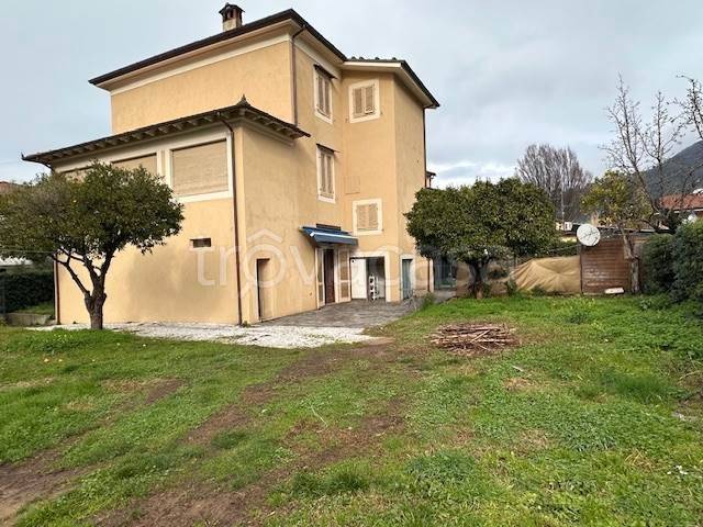 immagine annuncio 11 di 12
