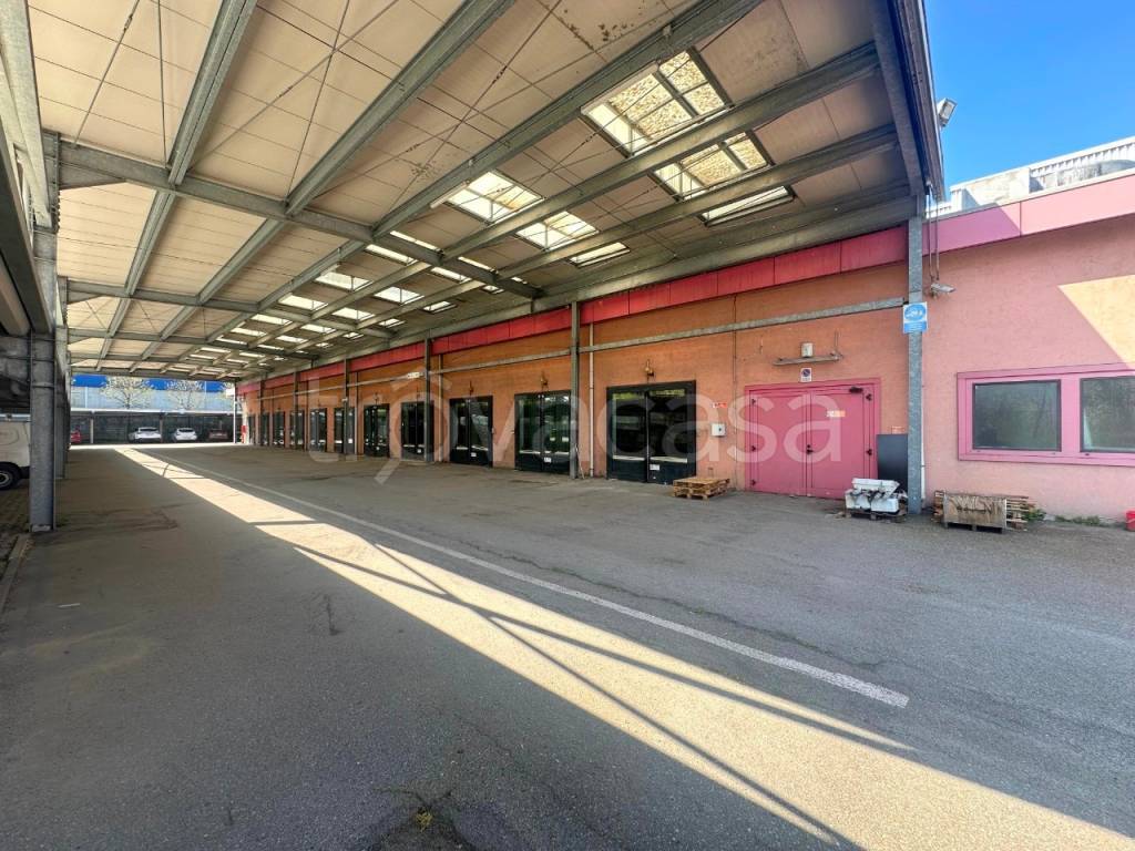 immagine annuncio 11 di 15