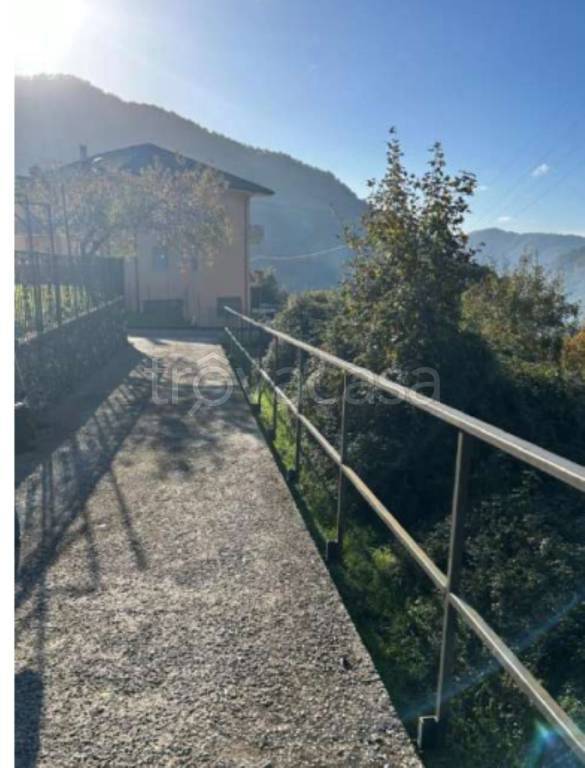 immagine annuncio 10 di 14