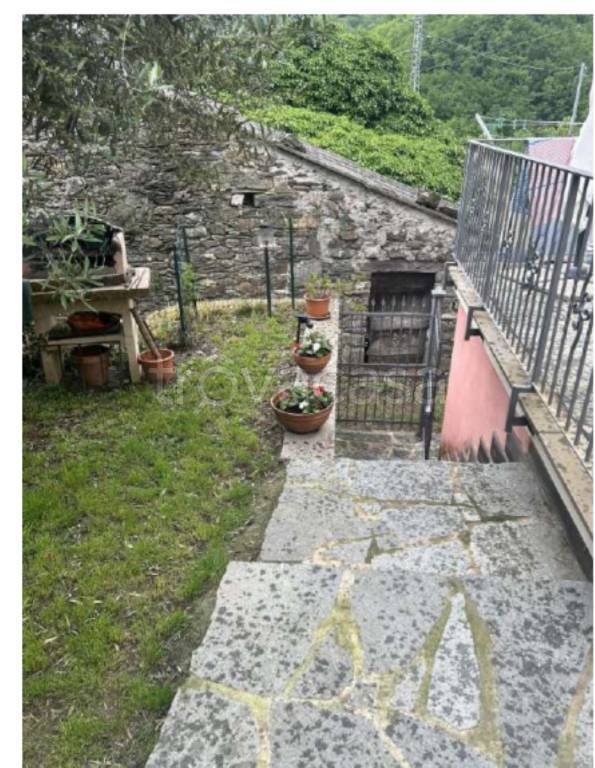 immagine annuncio 11 di 14