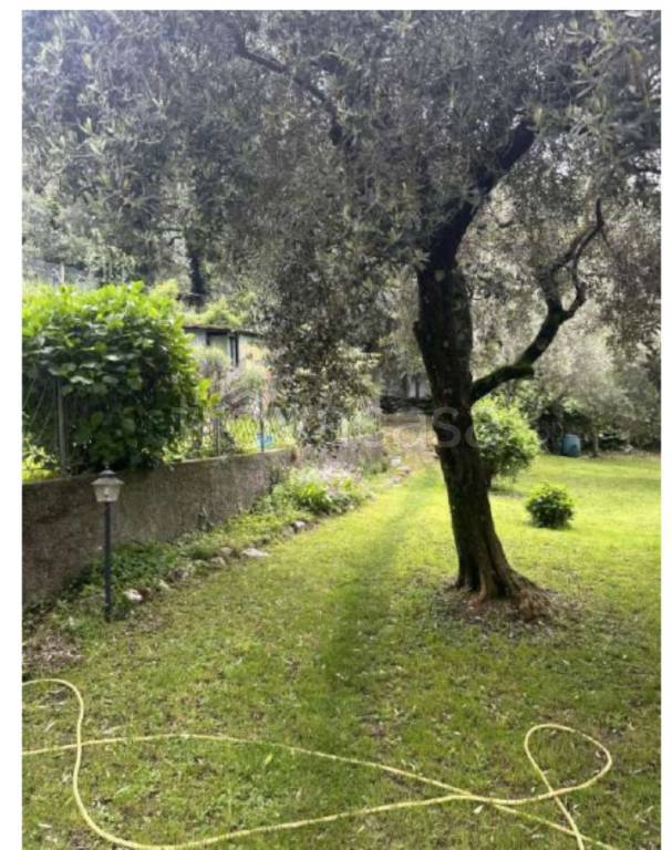 immagine annuncio 6 di 14