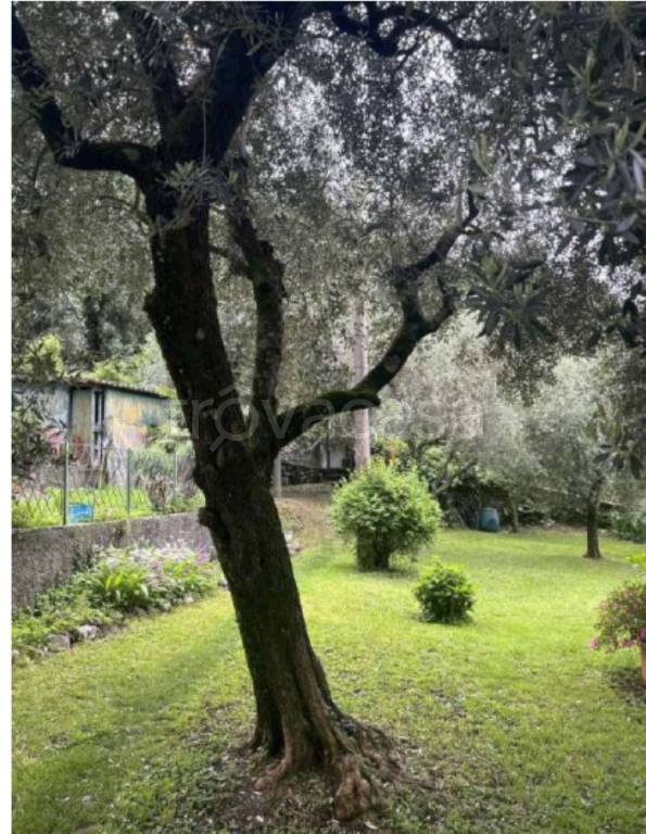 immagine annuncio 5 di 14