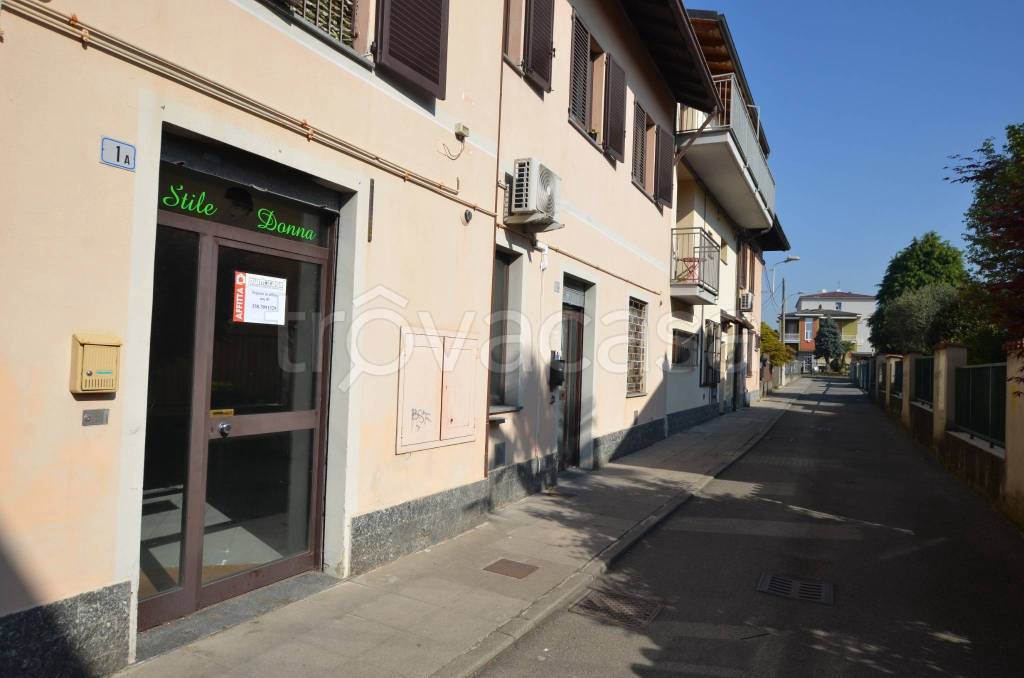 immagine annuncio 11 di 14