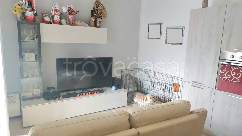 immagine annuncio 9 di 15