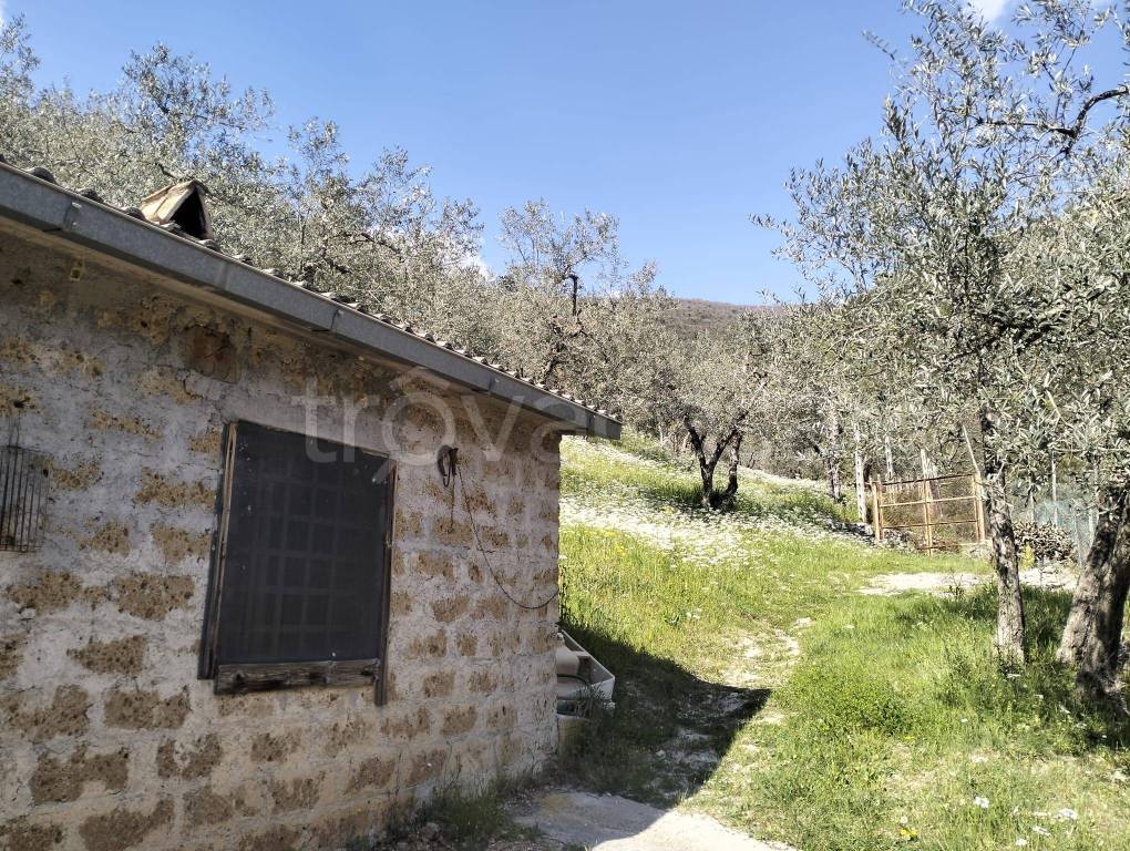 immagine annuncio 3 di 11