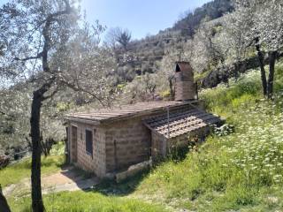 Terreno agricolo in vendita ad arrone località rosciano