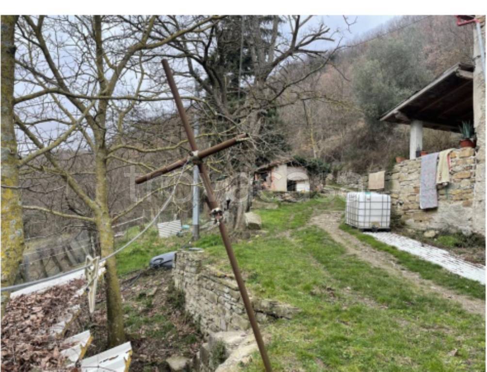 immagine annuncio 8 di 14