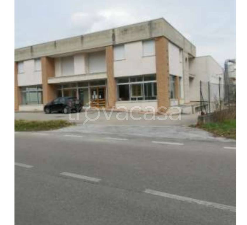 immagine annuncio 8 di 11
