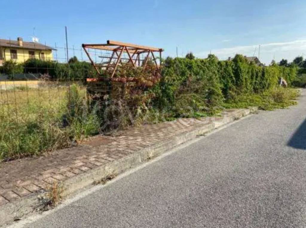 immagine annuncio 1 di 12